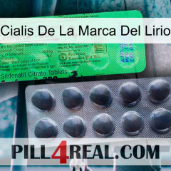 Lily Brand Cialis new04